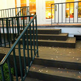 modern-stairs-wood-contemporary-historic.jpg