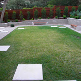 backyard 1.jpg