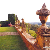 9terrace.jpg