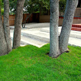 modern-landscape-design-limestone-steps.jpg