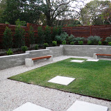 backyard 2.jpg
