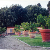 97serretta.jpg