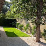 modern-landscape-backyard-gravel-fence.jpg
