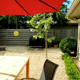 small-modern-backyard-landscape-patio.jpg