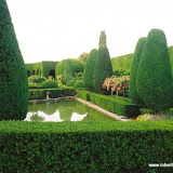 61yews.jpg