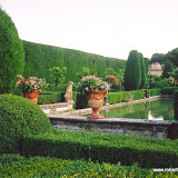 62geranium.jpg
