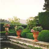 56geranium.jpg