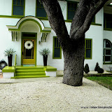 modern-traditional-landscape-oak-gravel-m.jpg