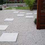 backyard 3.jpg